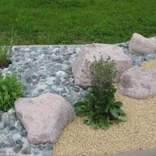 Green Angel - Görsel 2