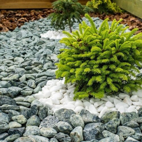 Green Angel - Görsel 4